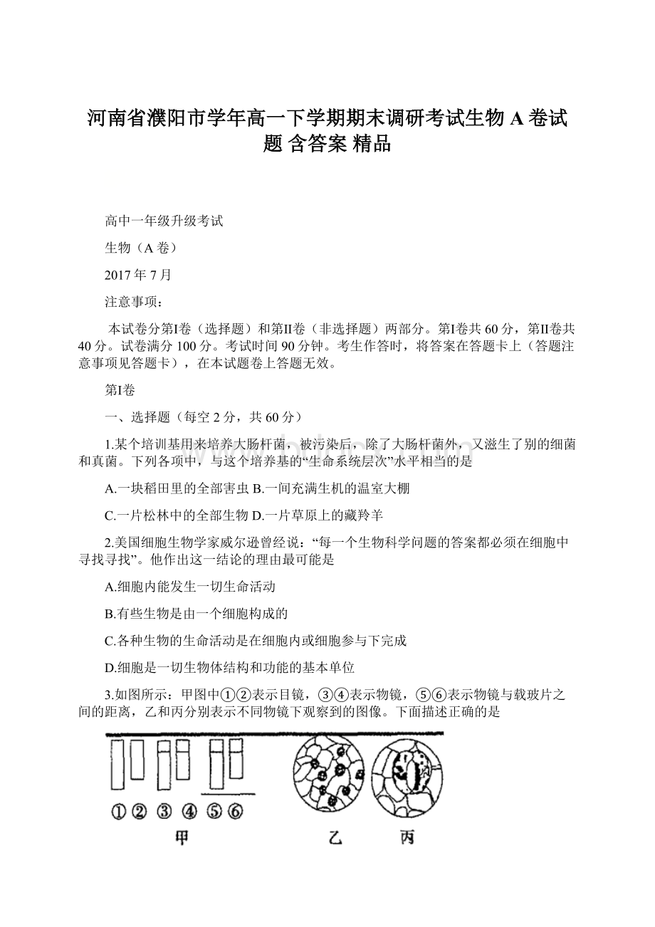 河南省濮阳市学年高一下学期期末调研考试生物A卷试题 含答案 精品Word格式文档下载.docx_第1页