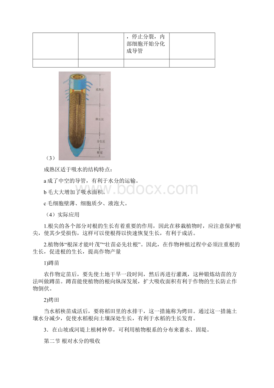 八年级上册生物知识点汇总冀少版.docx_第3页