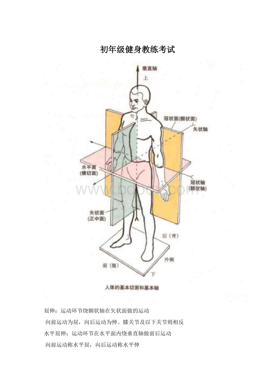 初年级健身教练考试文档格式.docx