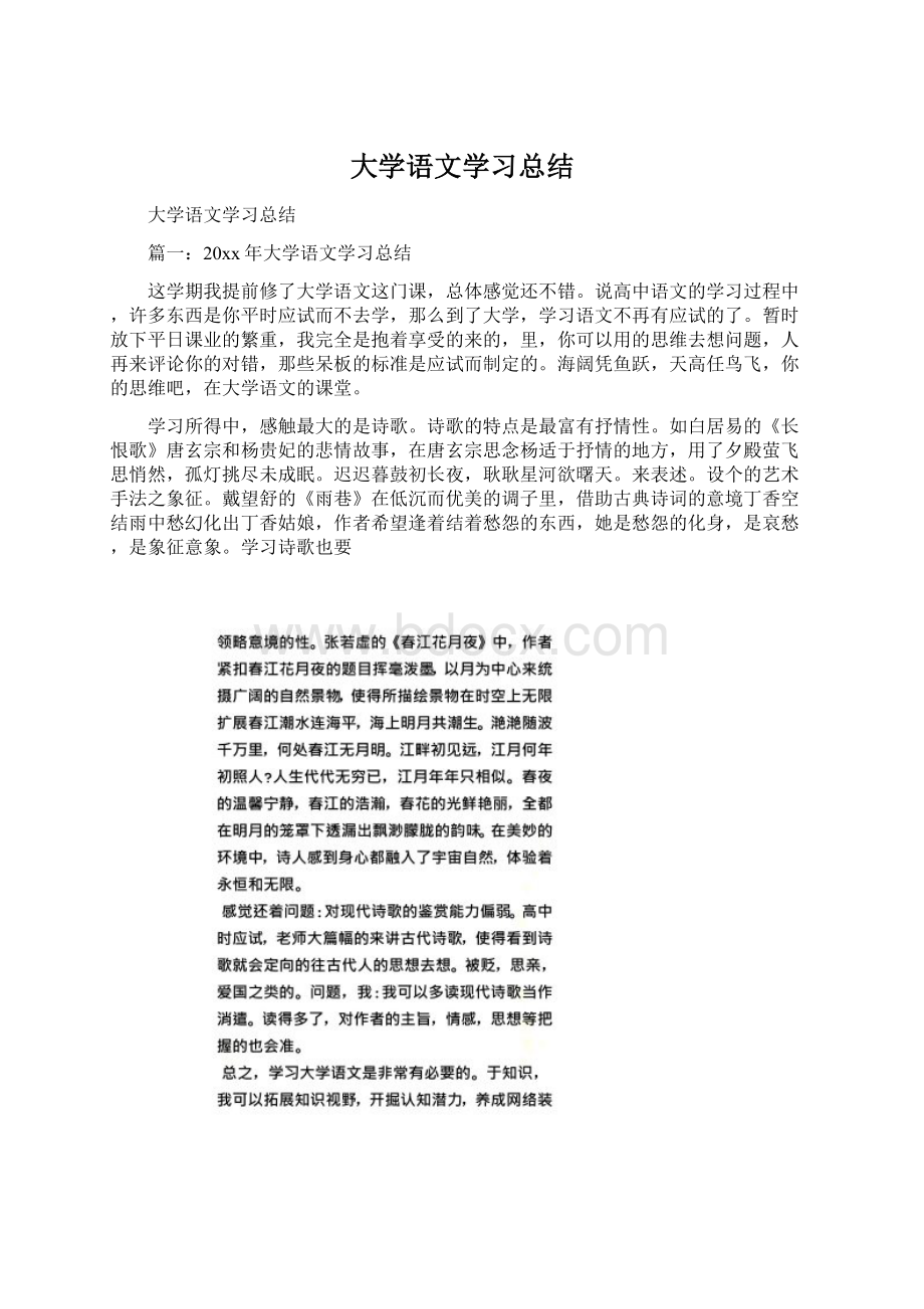 大学语文学习总结Word文件下载.docx