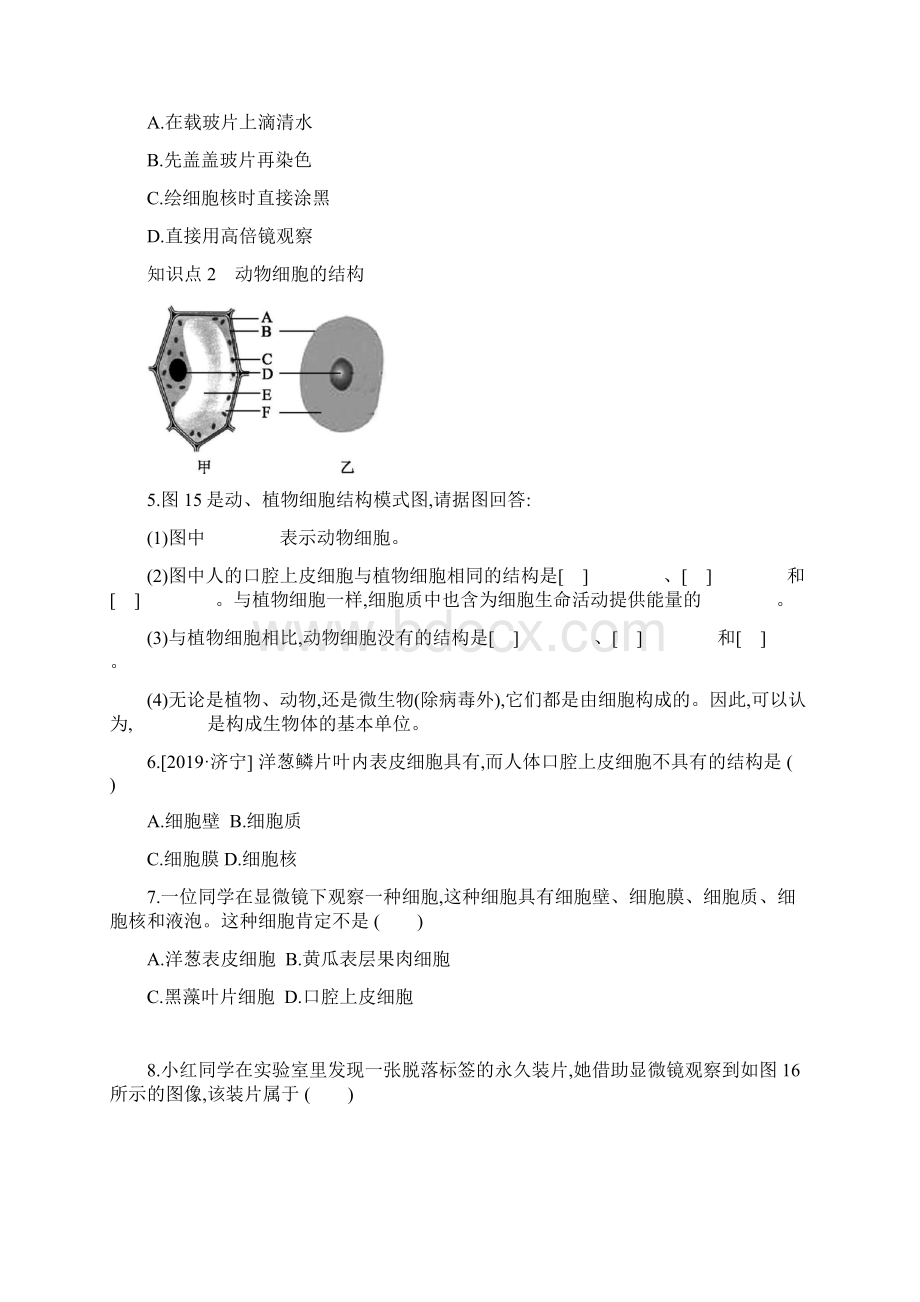 人教版生物七年级上册第二单元2Word下载.docx_第2页