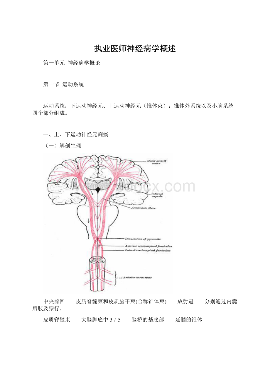 执业医师神经病学概述Word文档下载推荐.docx