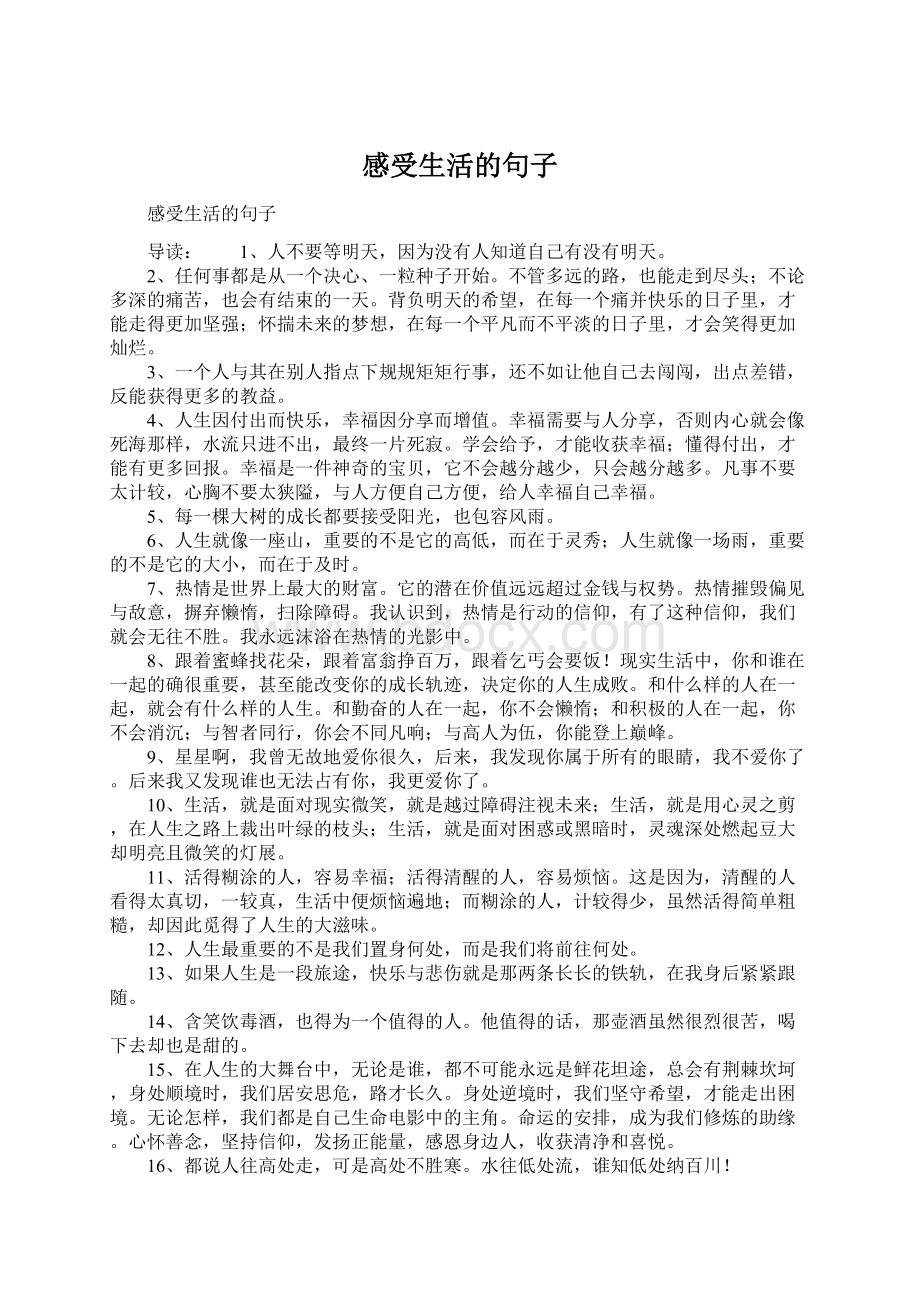 感受生活的句子Word格式文档下载.docx