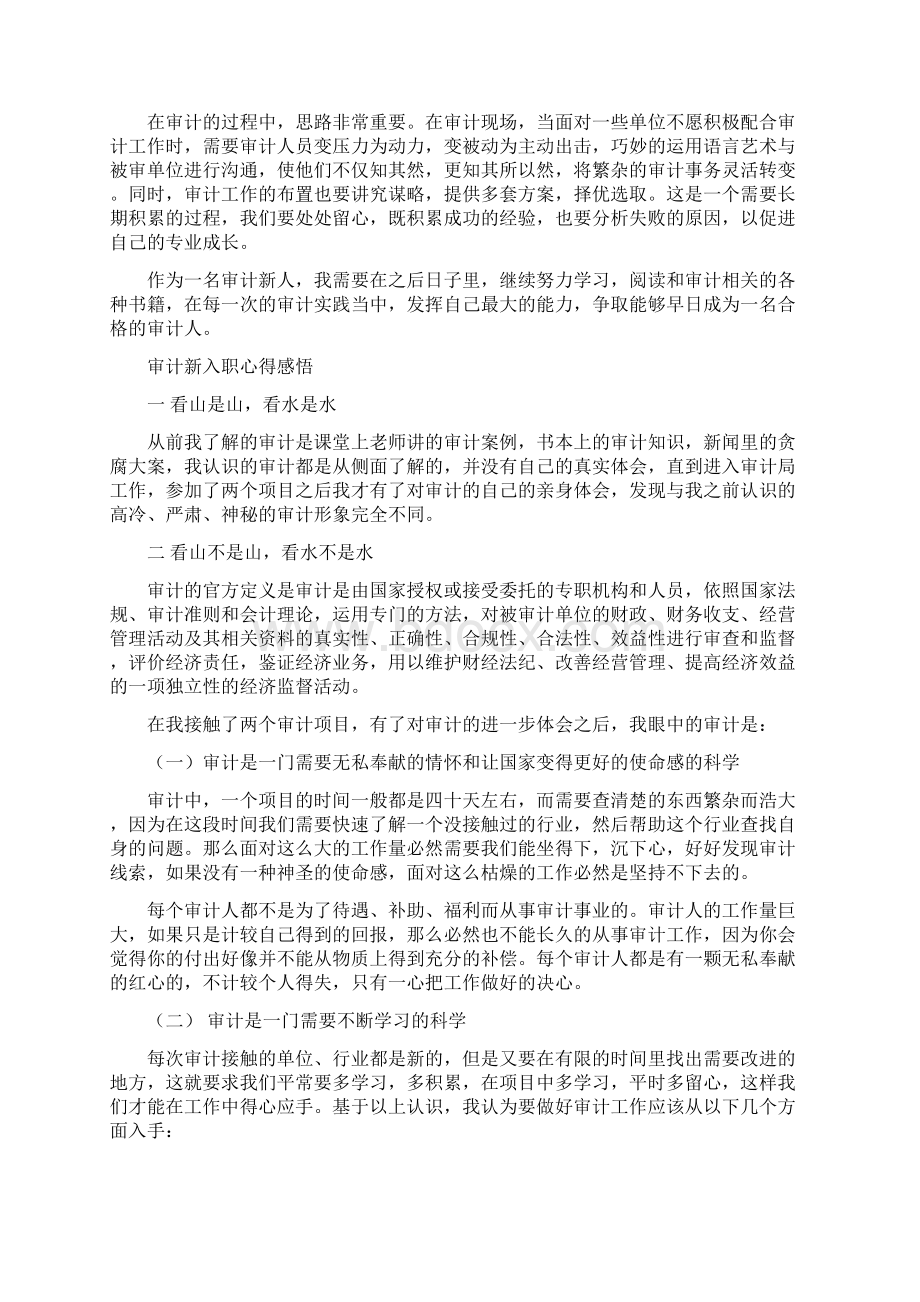 5篇审计新入职心得感悟整理.docx_第2页