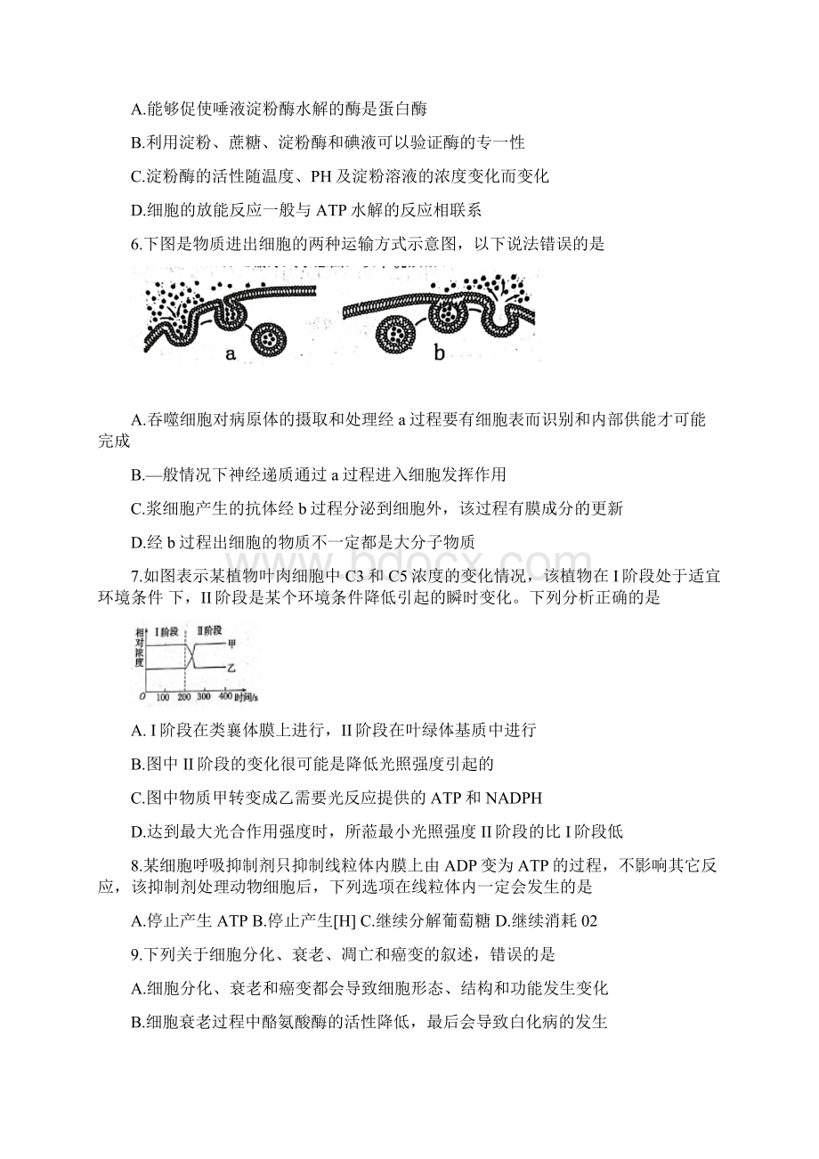 届湖南省岳阳市高三教学质量检测一一模 生物.docx_第2页