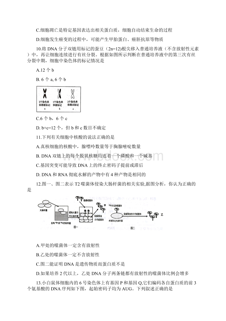 届湖南省岳阳市高三教学质量检测一一模 生物.docx_第3页