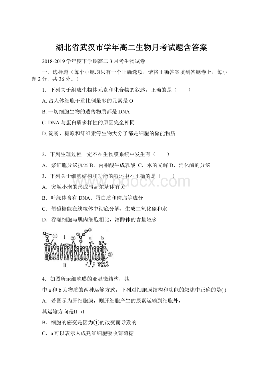 湖北省武汉市学年高二生物月考试题含答案Word格式文档下载.docx