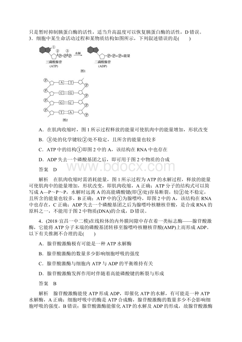 版高考生物二轮复习专题二细胞代谢专题强化练.docx_第2页