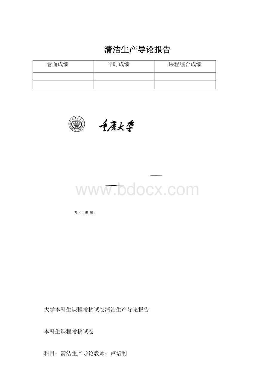 清洁生产导论报告Word下载.docx