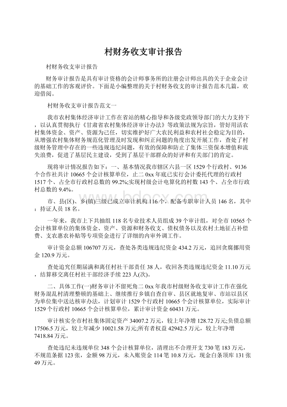 村财务收支审计报告Word文档下载推荐.docx