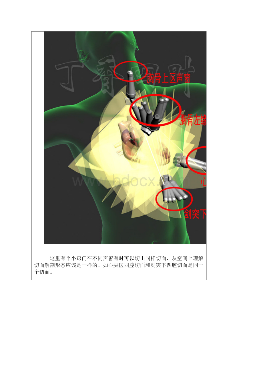 3D图解心脏解剖与心脏超声切面.docx_第2页