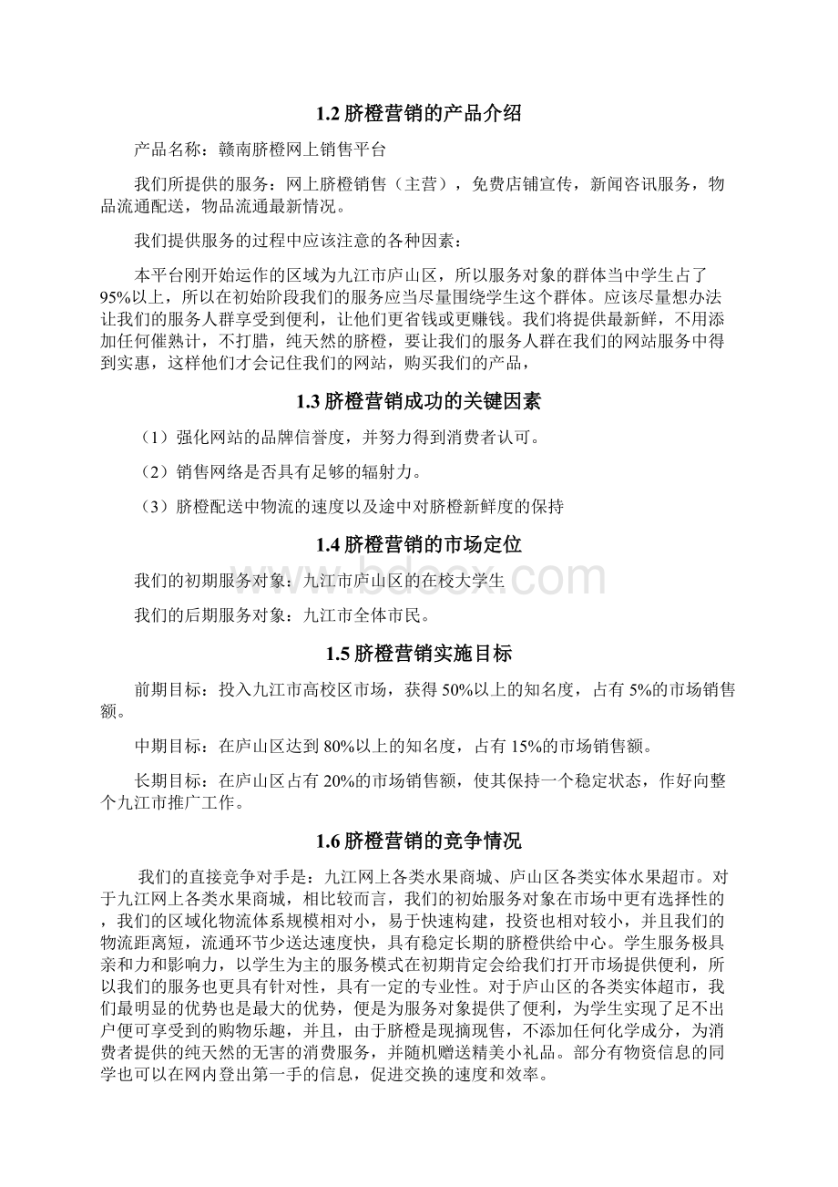 赣南脐橙网络营销策划书Word格式文档下载.docx_第2页