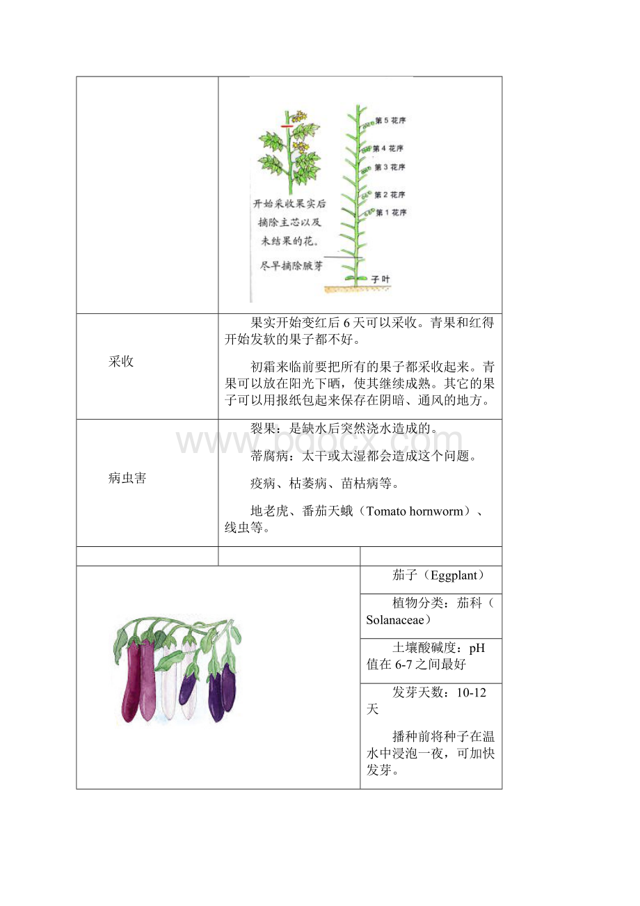 附录一常见蔬菜栽种资料.docx_第3页