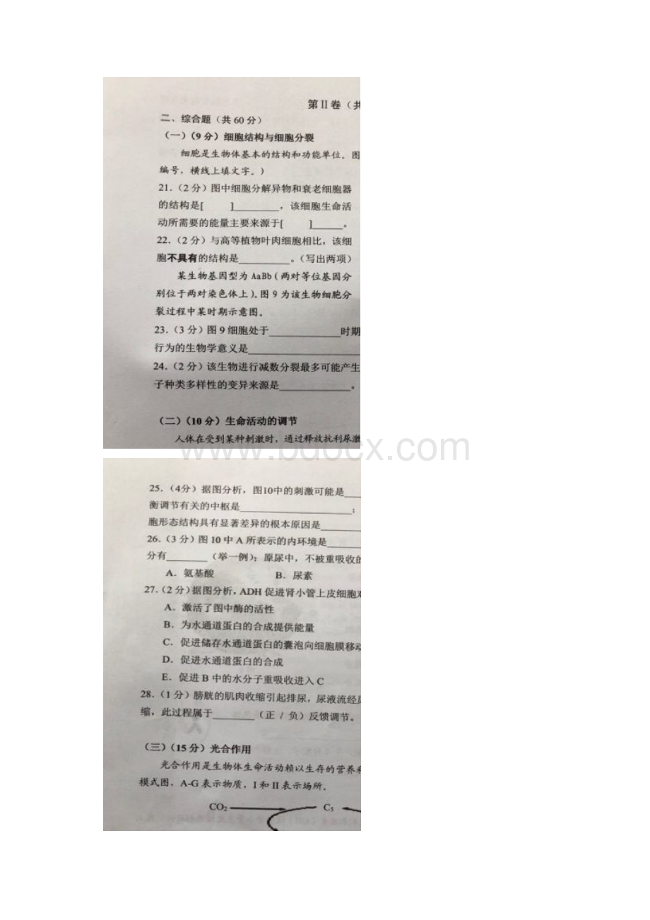 学年上海市浦东新区高二上学期期末考试生命科学试题扫描版含答案.docx_第3页