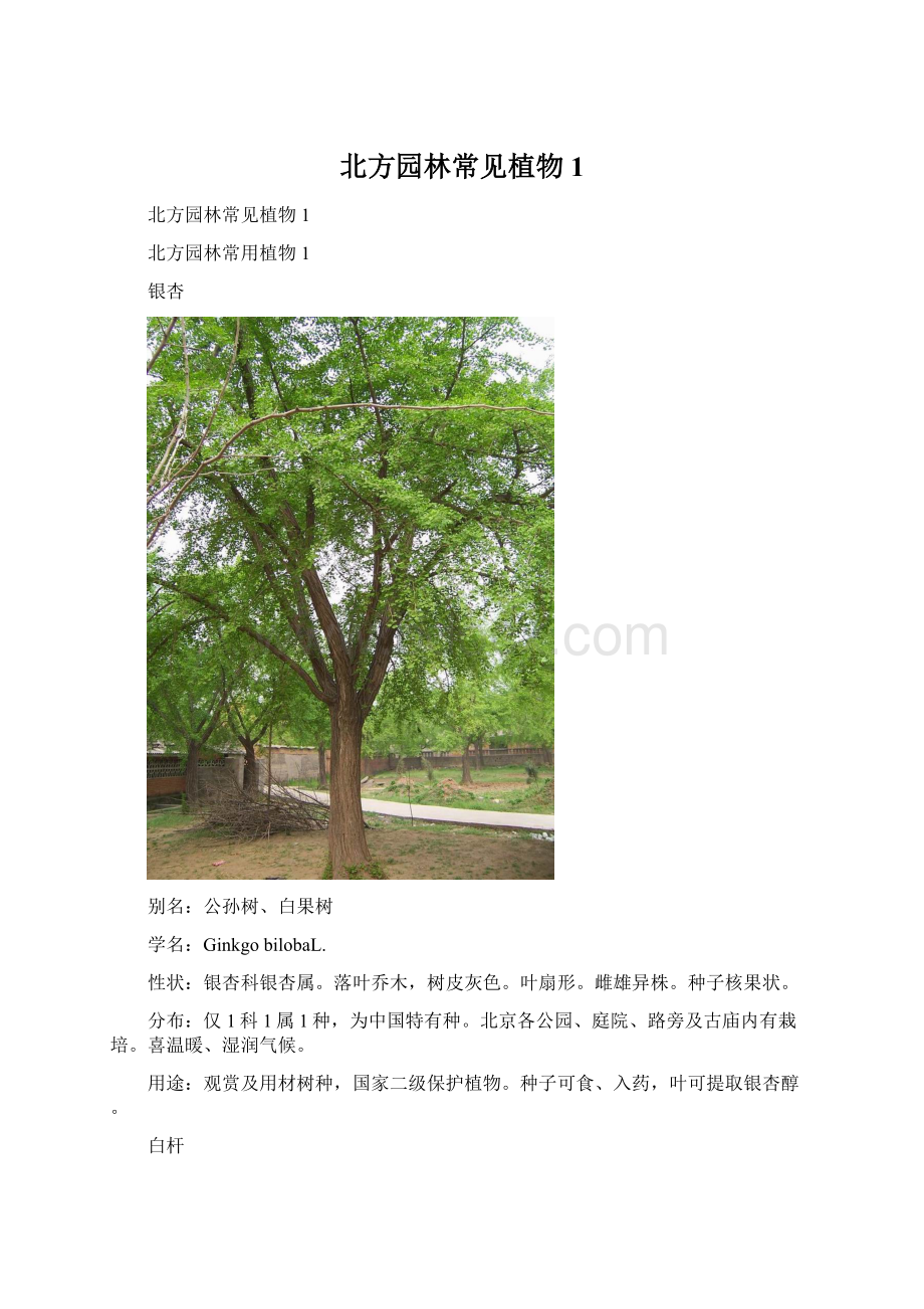 北方园林常见植物1.docx_第1页