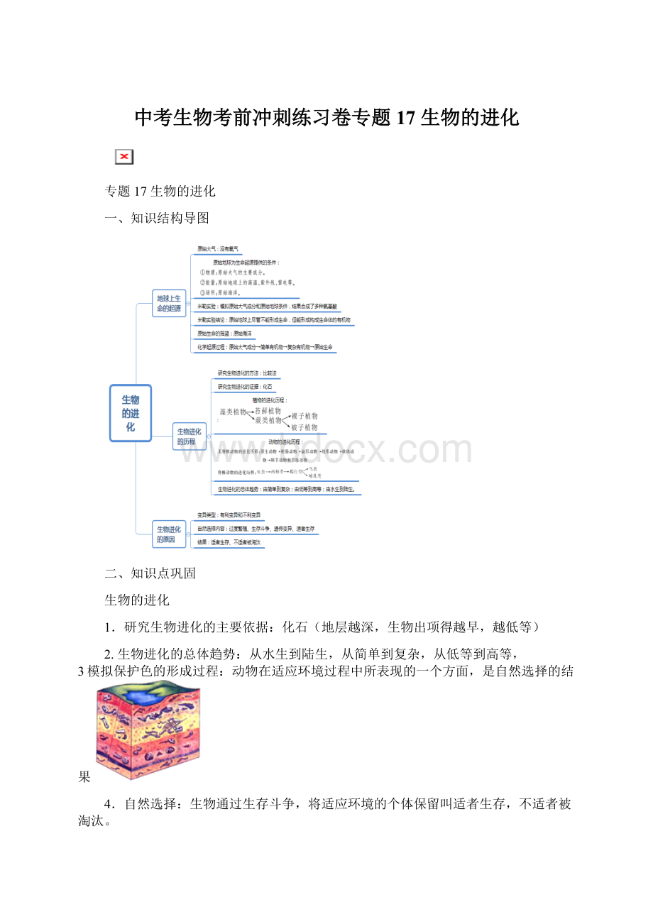 中考生物考前冲刺练习卷专题17 生物的进化Word文件下载.docx_第1页