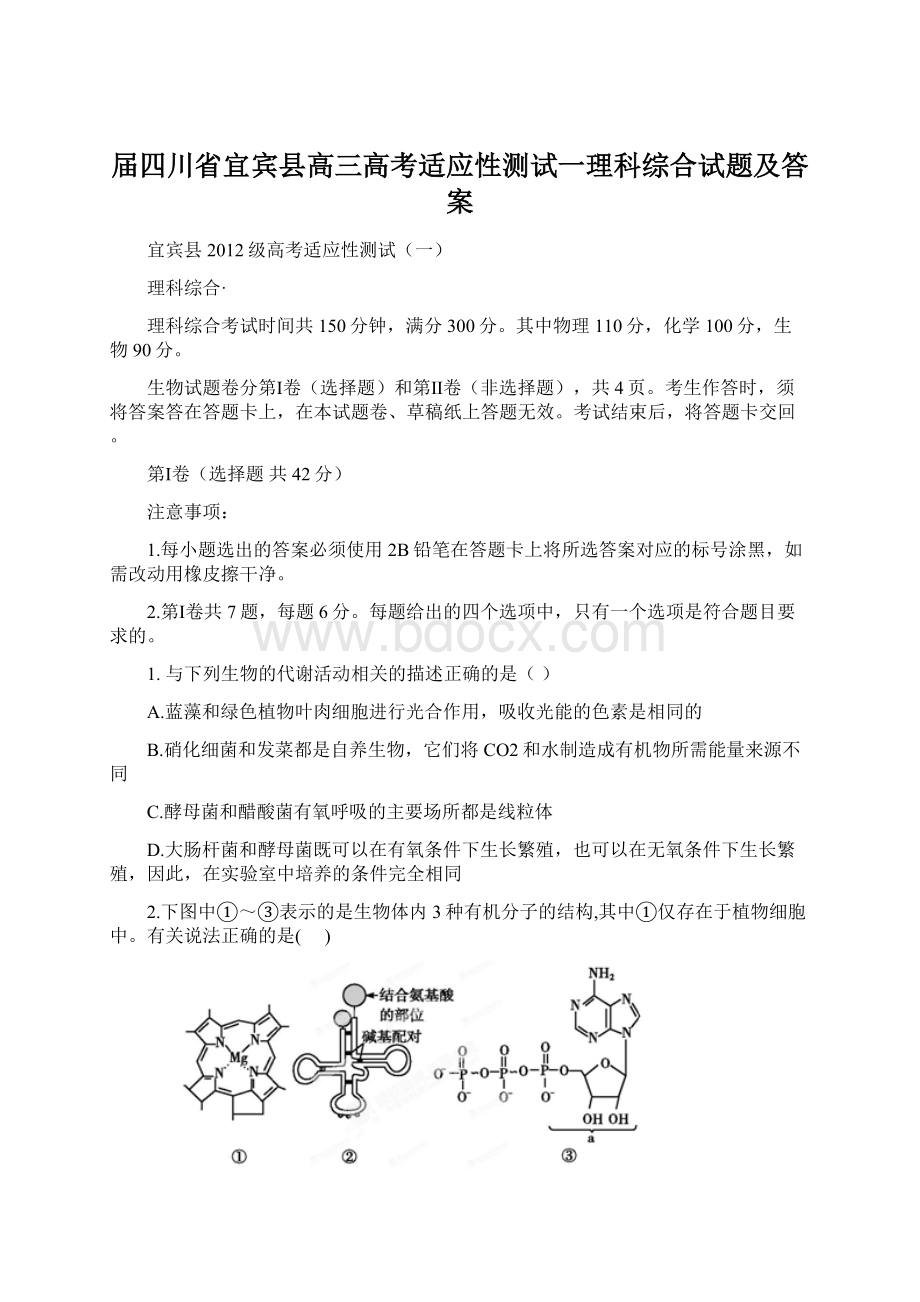 届四川省宜宾县高三高考适应性测试一理科综合试题及答案.docx