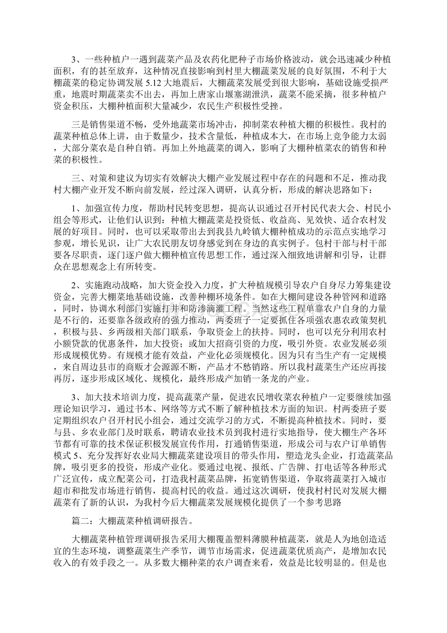 大棚蔬菜调研报告与大气污染整治情况汇报汇编Word格式.docx_第2页