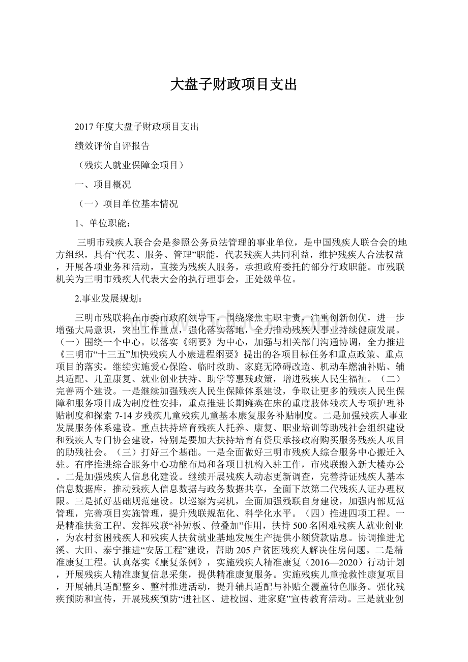 大盘子财政项目支出.docx_第1页