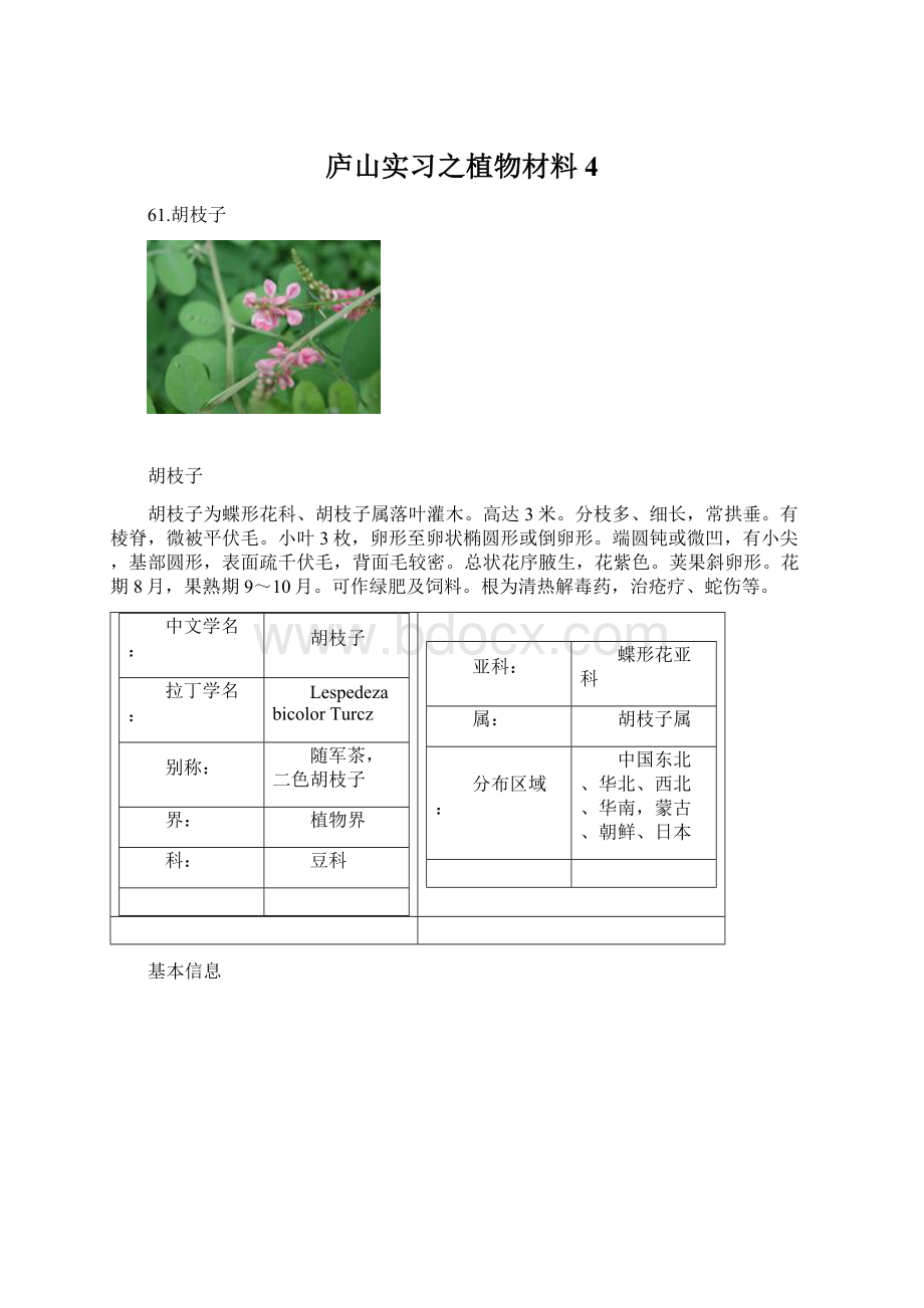 庐山实习之植物材料4Word文档下载推荐.docx