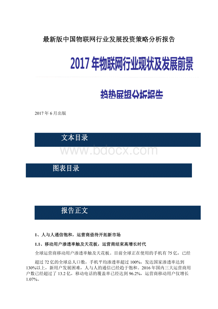 最新版中国物联网行业发展投资策略分析报告.docx_第1页