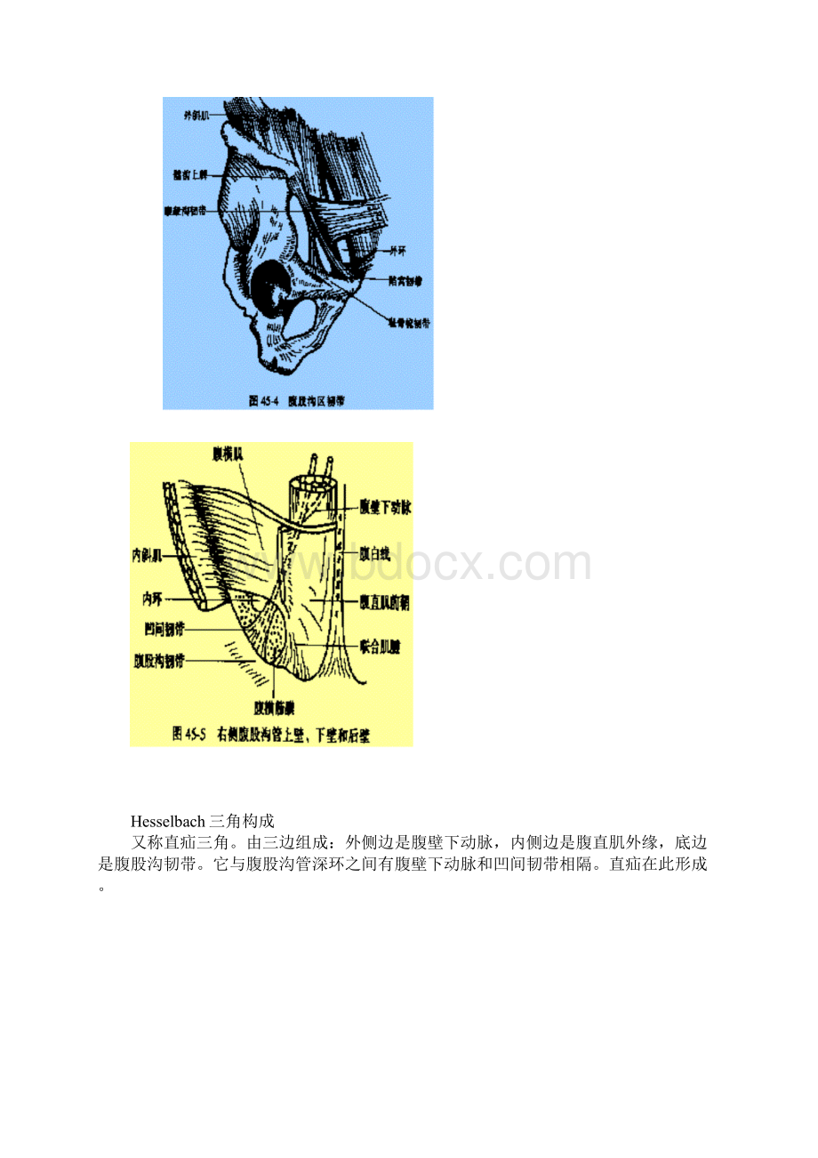 最新腹外疝练习+彩图解析.docx_第3页