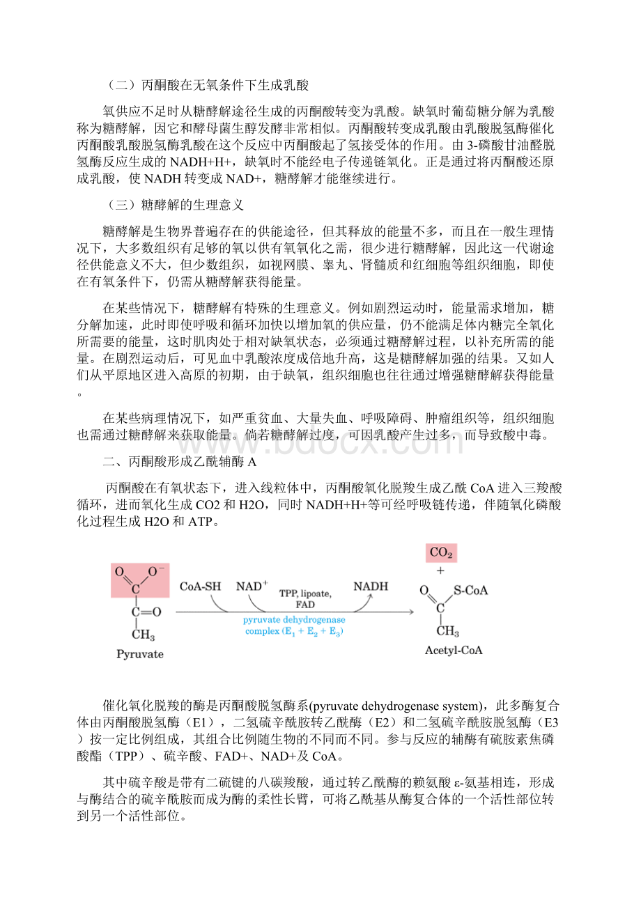 第八章物质代谢精.docx_第3页