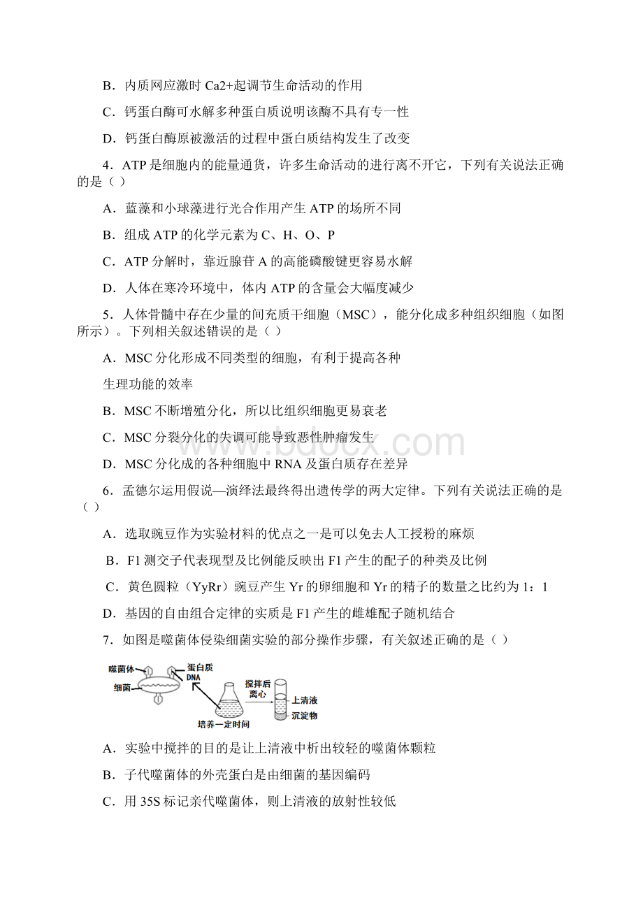 华附省实广雅深中届高三四校联考生物.docx_第2页