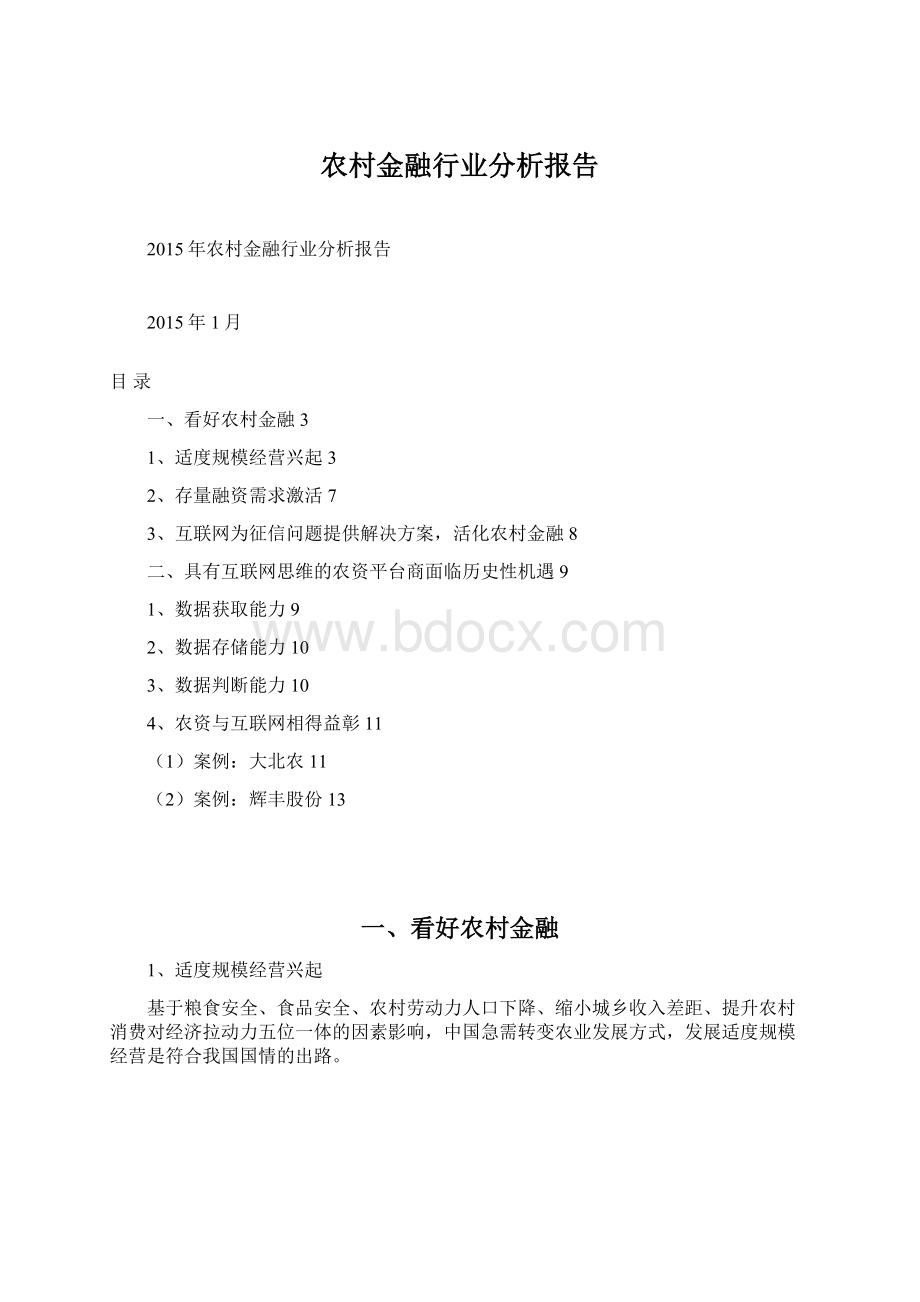 农村金融行业分析报告.docx