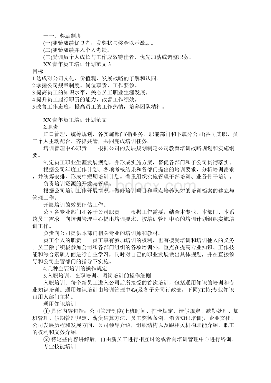 XX年青年员工培训计划Word文档格式.docx_第3页