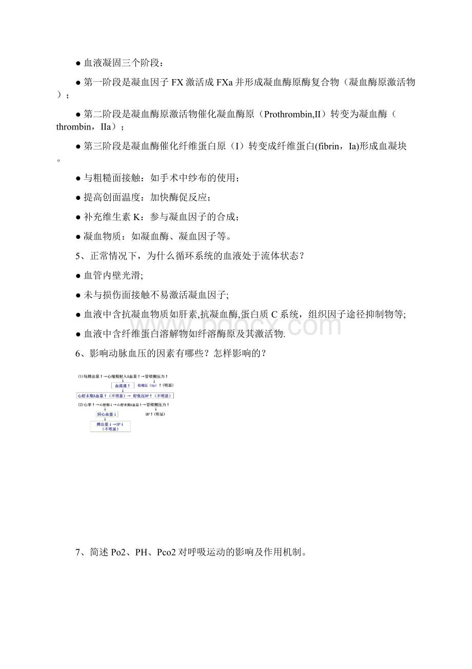 山东农业大学 动物生理学名词解释 简答Word格式文档下载.docx_第2页