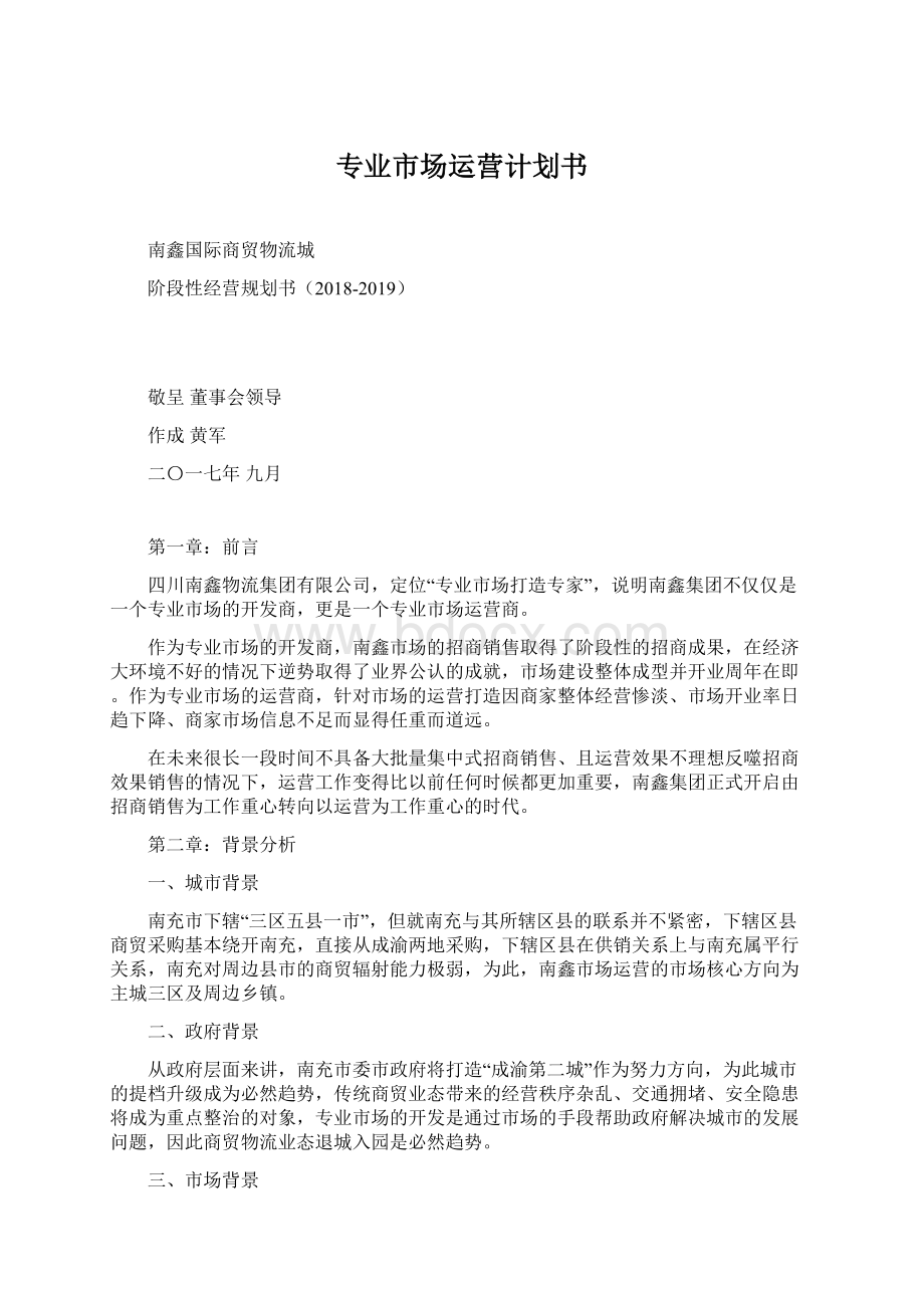 专业市场运营计划书Word格式.docx_第1页