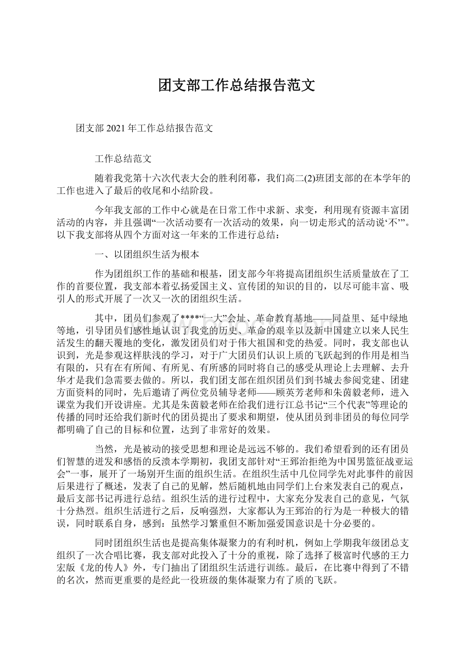 团支部工作总结报告范文.docx