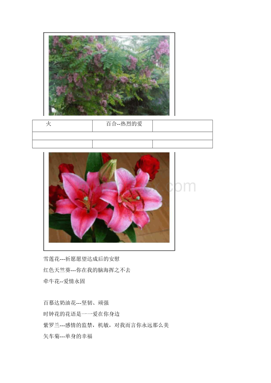 100种花的花语和图片.docx_第3页