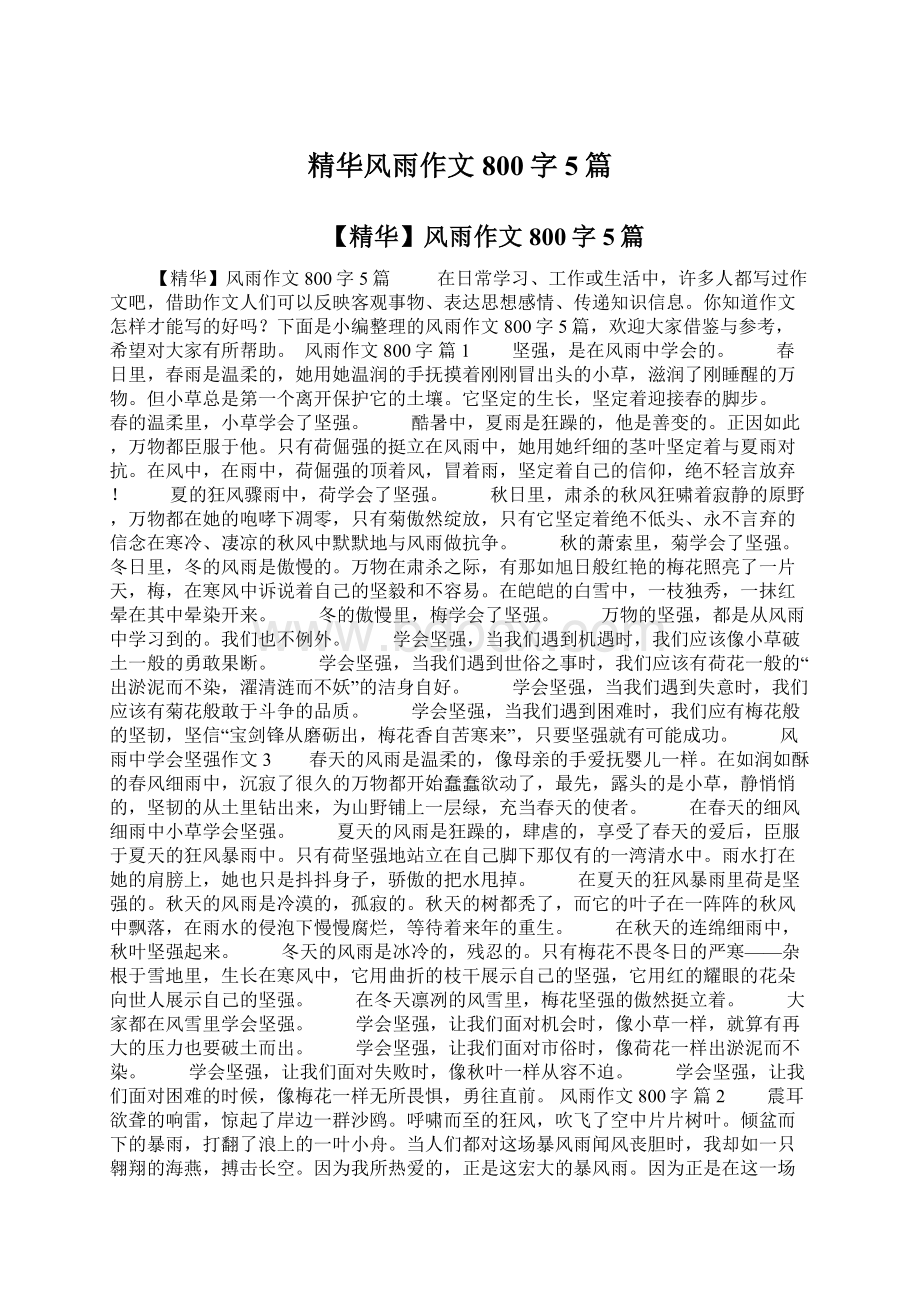 精华风雨作文800字5篇Word格式.docx