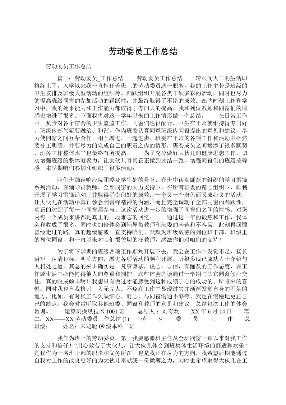 劳动委员工作总结Word格式文档下载.docx_第1页