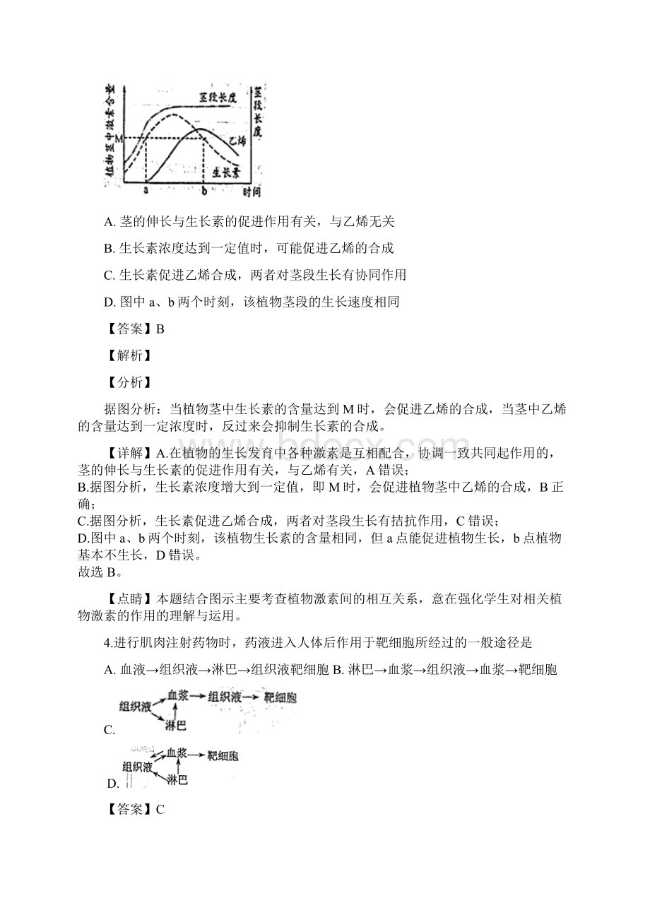 届北京市人大附中高三质量检测生物试题解析版Word文档下载推荐.docx_第3页