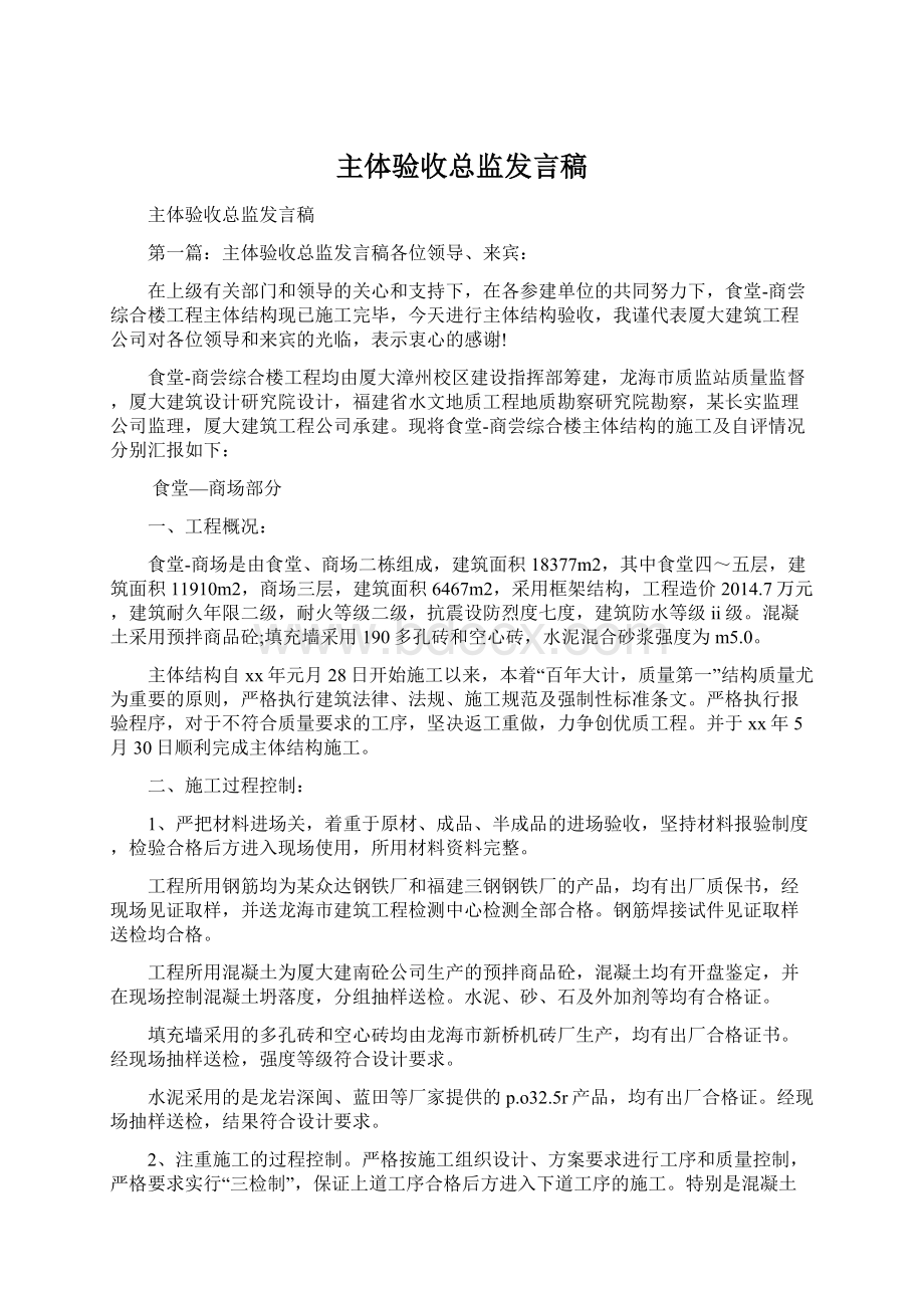 主体验收总监发言稿Word格式文档下载.docx