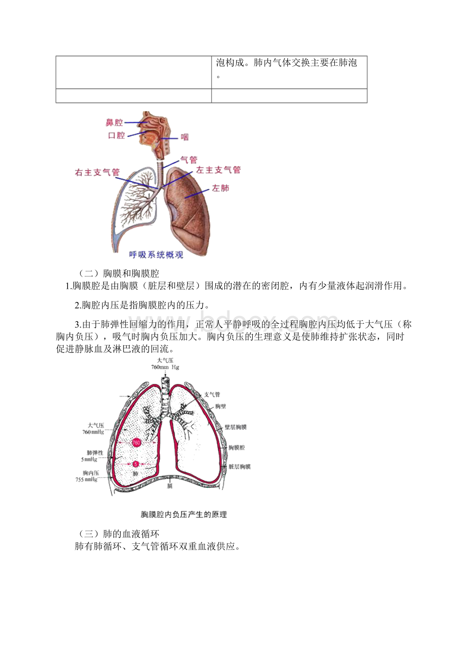 主管正副主任护师考试笔记呼吸系统1.docx_第2页