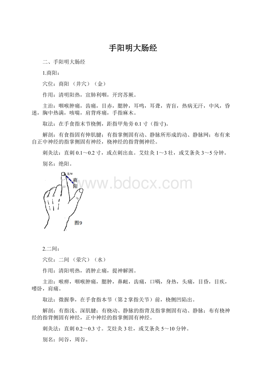 手阳明大肠经Word文档格式.docx