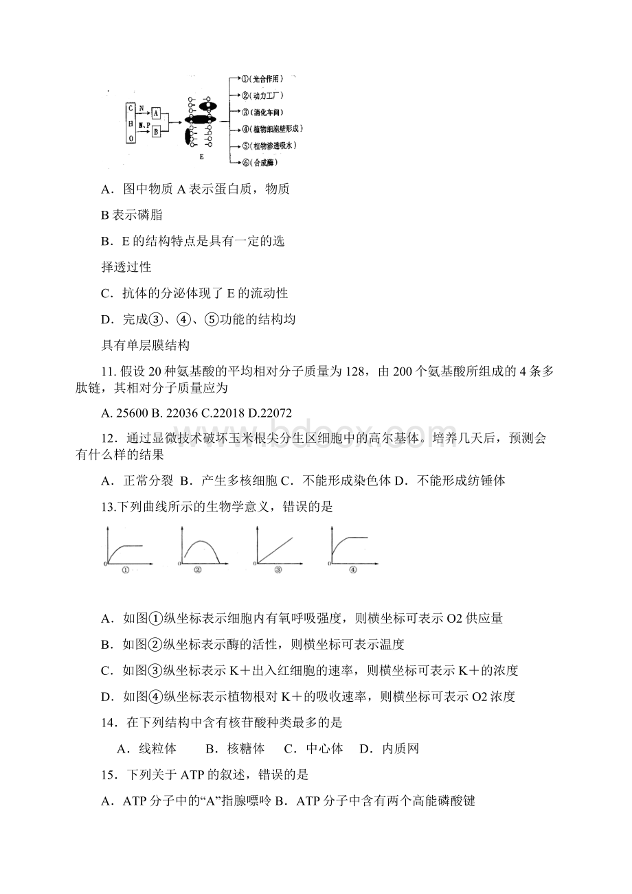 山东省济南外国语学校届高三质量检测生物Word文档格式.docx_第3页