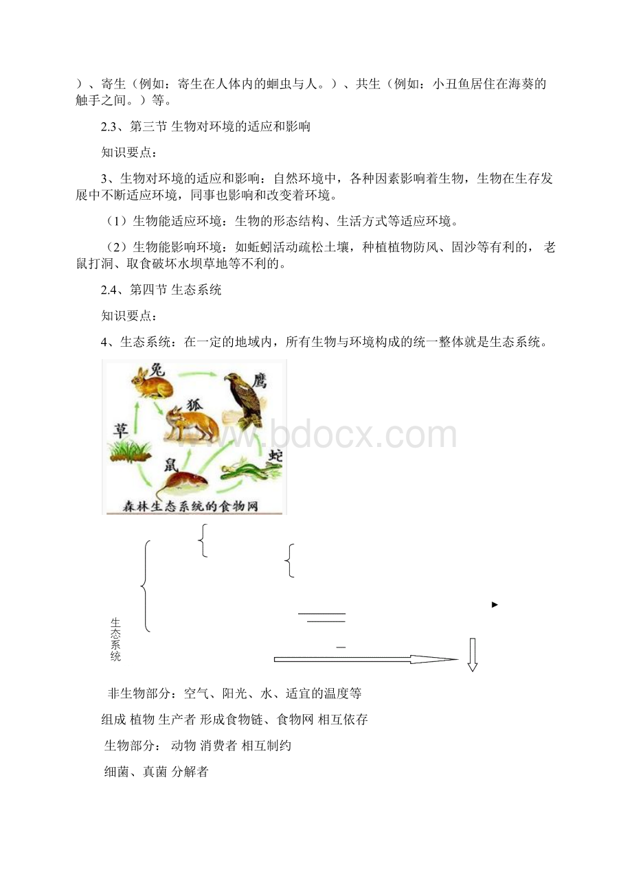 人教版生物七年级上册知识点复习提纲.docx_第2页