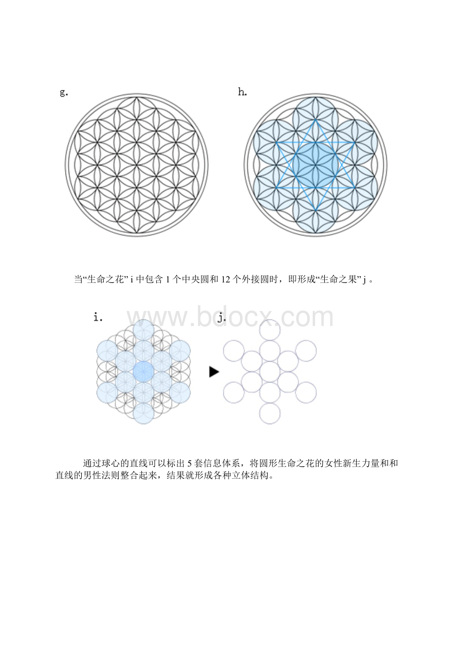 整理麦田圈中的神圣几何学四生命之花.docx_第3页