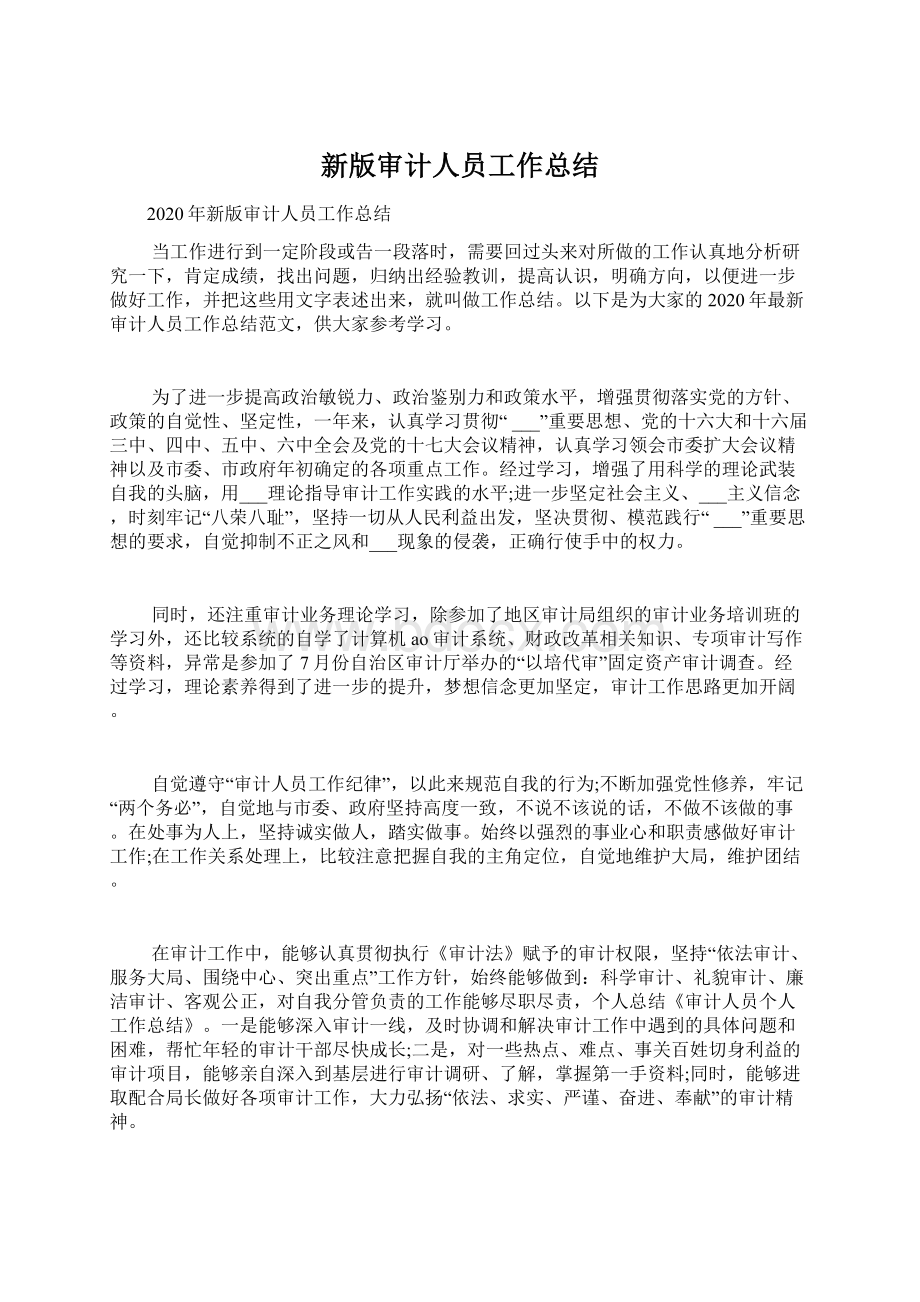 新版审计人员工作总结Word文档格式.docx_第1页