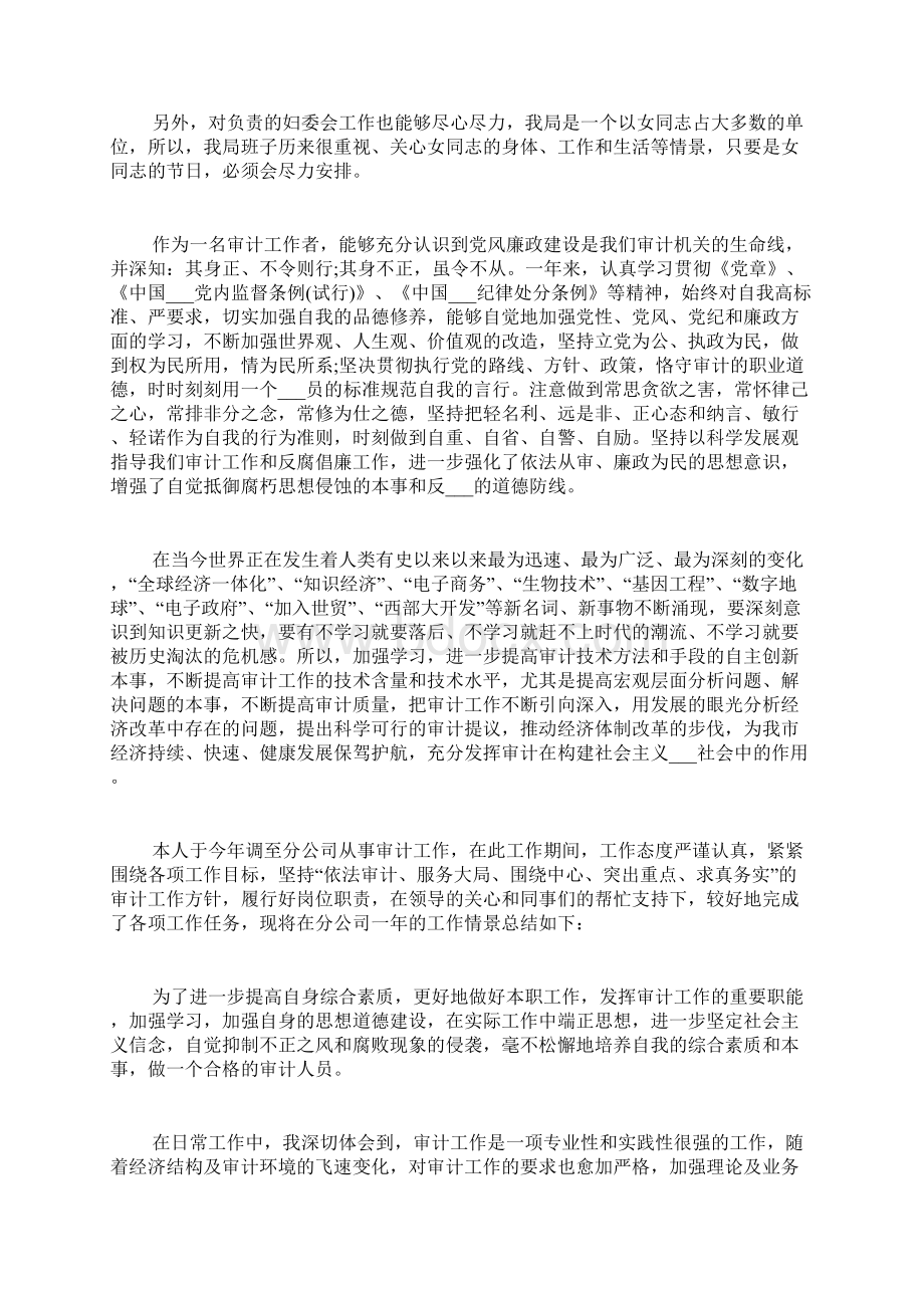 新版审计人员工作总结Word文档格式.docx_第2页