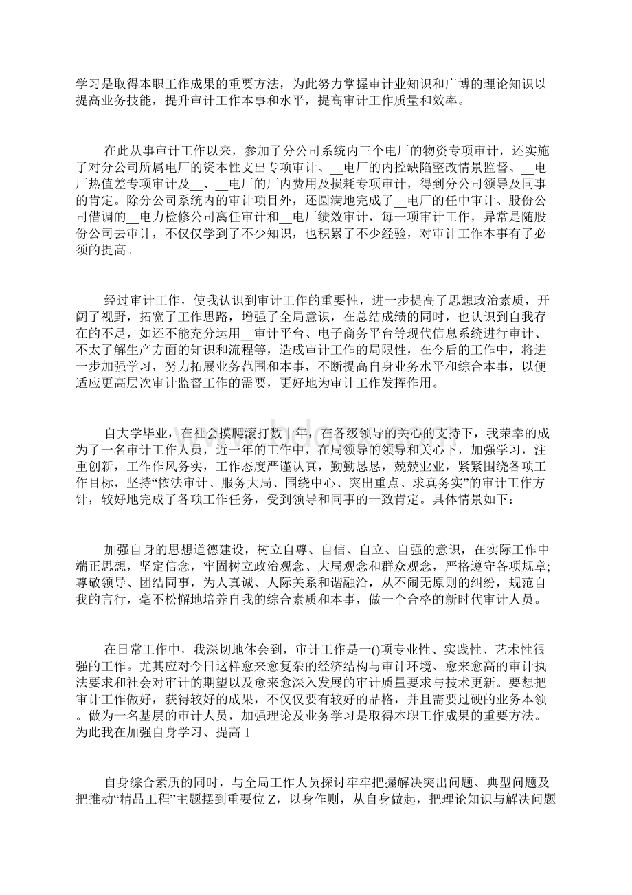 新版审计人员工作总结Word文档格式.docx_第3页