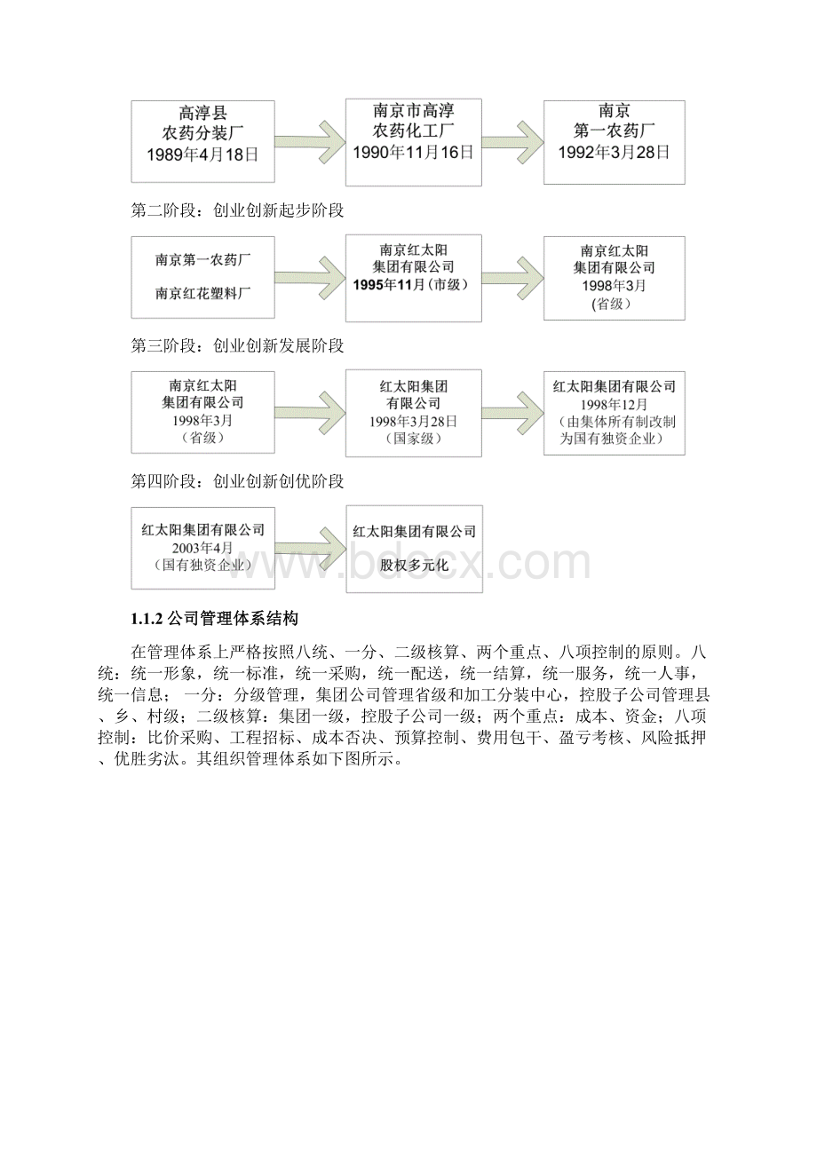 红太阳集团农药供应链管理Word格式文档下载.docx_第2页