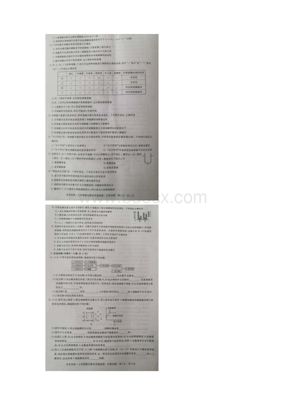 江西省吉安市学年高一生物上学期期末教学质量检测试题扫描版Word文档格式.docx_第3页