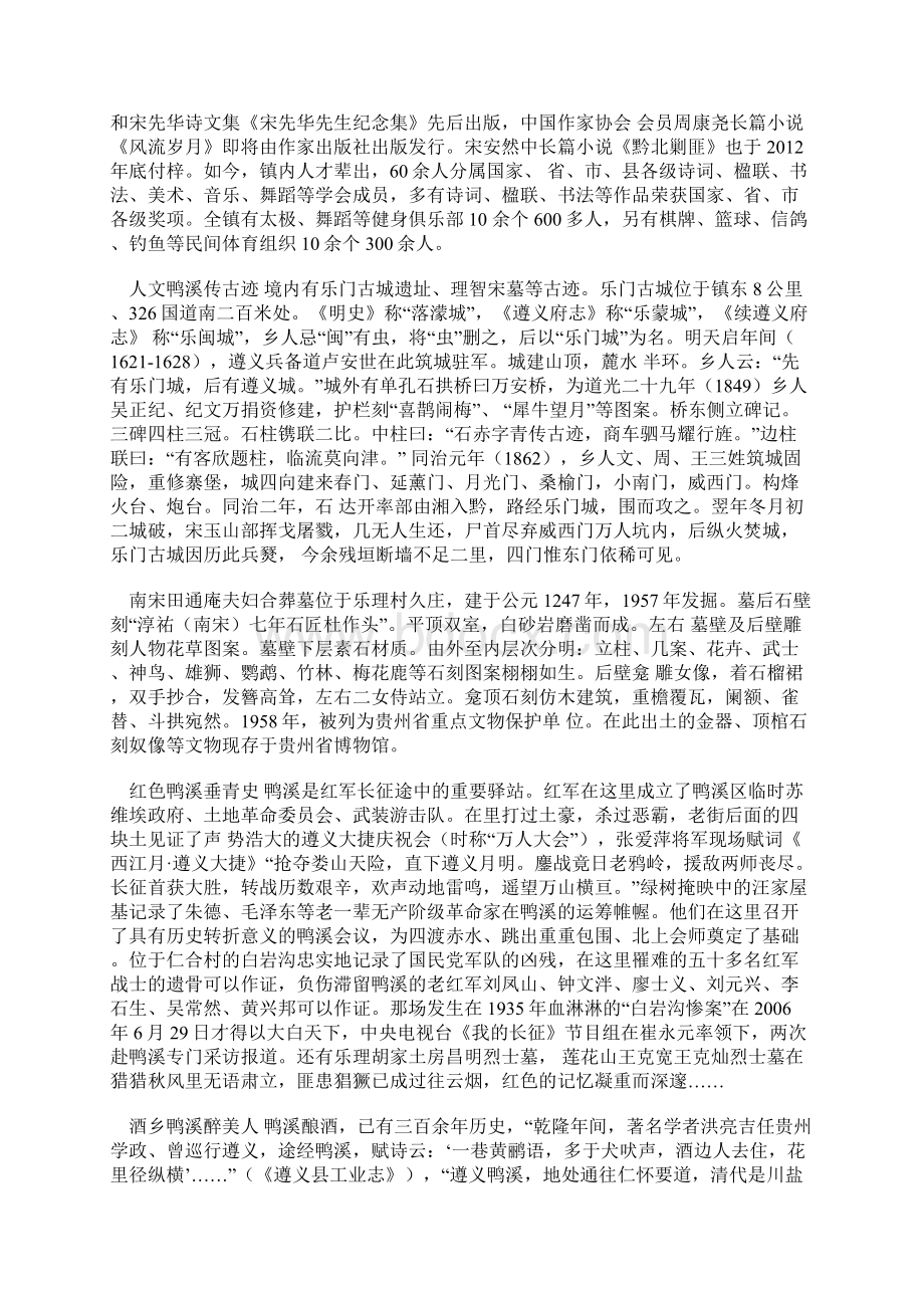 贵州遵义县鸭溪经开区产业发展规划中经汇成文档格式.docx_第3页