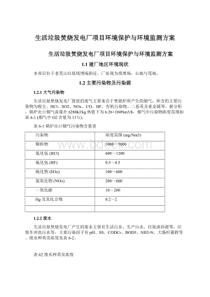 生活垃圾焚烧发电厂项目环境保护与环境监测方案.docx